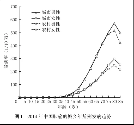 2014中国肺癌的城乡年龄别发病趋势