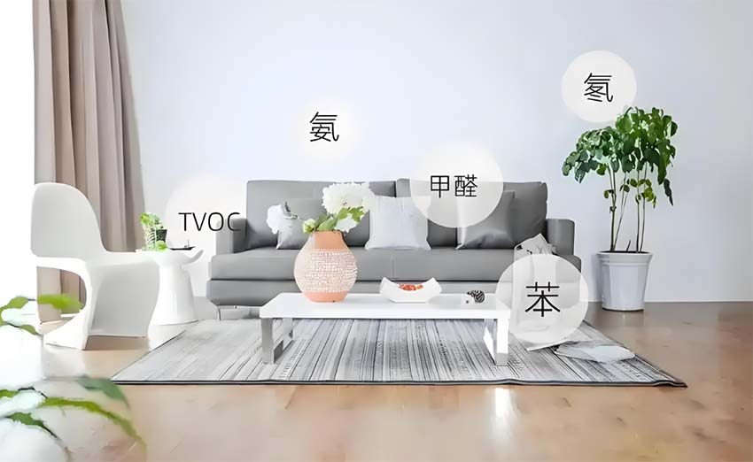 上海除甲醛