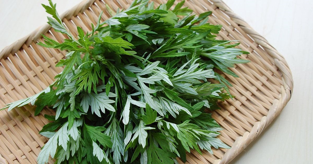 上海除甲醛